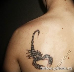 Фото рисунка скорпион 24.11.2018 №471 - photo tattoo scorpion - tattoo-photo.ru