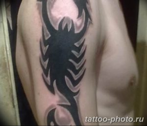 Фото рисунка скорпион 24.11.2018 №474 - photo tattoo scorpion - tattoo-photo.ru