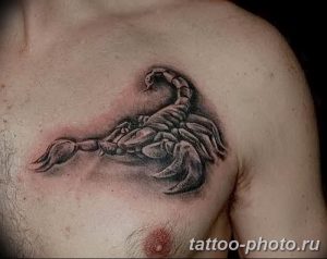 Фото рисунка скорпион 24.11.2018 №475 - photo tattoo scorpion - tattoo-photo.ru