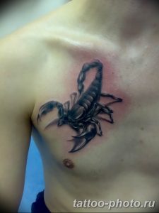 Фото рисунка скорпион 24.11.2018 №481 - photo tattoo scorpion - tattoo-photo.ru