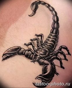 Фото рисунка скорпион 24.11.2018 №484 - photo tattoo scorpion - tattoo-photo.ru