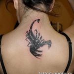 Фото рисунка скорпион 24.11.2018 №486 - photo tattoo scorpion - tattoo-photo.ru