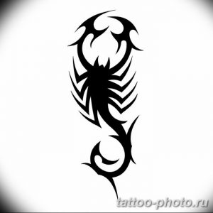 Фото рисунка скорпион 24.11.2018 №491 - photo tattoo scorpion - tattoo-photo.ru