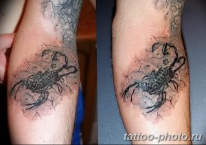 Фото рисунка скорпион 24.11.2018 №499 - photo tattoo scorpion - tattoo-photo.ru