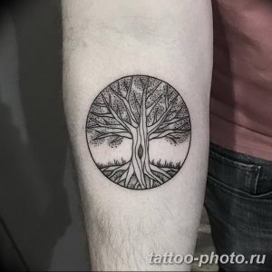 Фото рисунка тату круг 22.11.2018 №245 - photo tattoo circle - tattoo-photo.ru