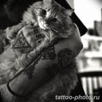 фото рисунка тату глаз в треугольнике 27.11.2018 №078 - tattoo of eyes - tattoo-photo.ru