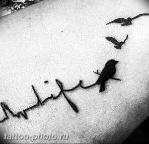 фото рисунка тату пульс 30.11.2018 №027 - photo tattoo pulse - tattoo-photo.ru