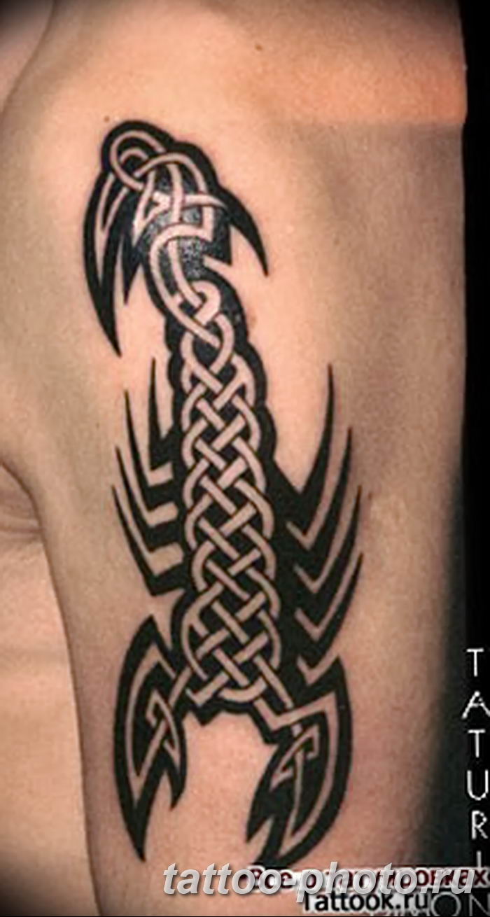 Фото рисунка скорпион 24.11.2018 №313 photo tattoo scorpion tattoo