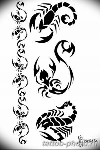 Фото рисунка скорпион 24.11.2018 №001 - photo tattoo scorpion - tattoo-photo.ru