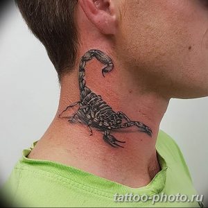 Фото рисунка скорпион 24.11.2018 №003 - photo tattoo scorpion - tattoo-photo.ru
