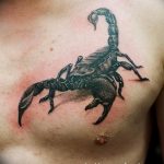 Фото рисунка скорпион 24.11.2018 №004 - photo tattoo scorpion - tattoo-photo.ru