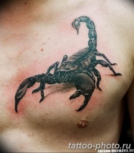 Фото рисунка скорпион 24.11.2018 №004 - photo tattoo scorpion - tattoo-photo.ru