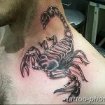 Фото рисунка скорпион 24.11.2018 №005 - photo tattoo scorpion - tattoo-photo.ru