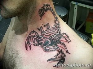 Фото рисунка скорпион 24.11.2018 №005 - photo tattoo scorpion - tattoo-photo.ru