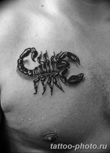 Фото рисунка скорпион 24.11.2018 №006 - photo tattoo scorpion - tattoo-photo.ru