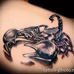 Фото рисунка скорпион 24.11.2018 №007 - photo tattoo scorpion - tattoo-photo.ru