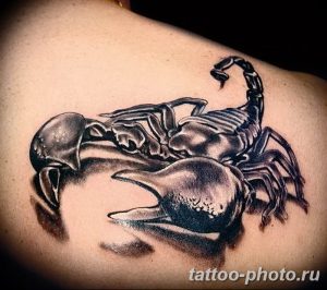 Фото рисунка скорпион 24.11.2018 №007 - photo tattoo scorpion - tattoo-photo.ru