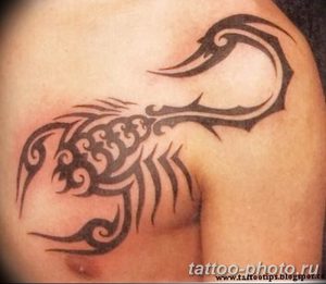 Фото рисунка скорпион 24.11.2018 №009 - photo tattoo scorpion - tattoo-photo.ru