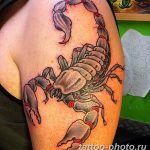 Фото рисунка скорпион 24.11.2018 №010 - photo tattoo scorpion - tattoo-photo.ru