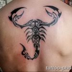 Фото рисунка скорпион 24.11.2018 №012 - photo tattoo scorpion - tattoo-photo.ru