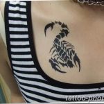 Фото рисунка скорпион 24.11.2018 №014 - photo tattoo scorpion - tattoo-photo.ru
