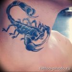 Фото рисунка скорпион 24.11.2018 №015 - photo tattoo scorpion - tattoo-photo.ru