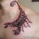 Фото рисунка скорпион 24.11.2018 №017 - photo tattoo scorpion - tattoo-photo.ru