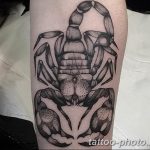 Фото рисунка скорпион 24.11.2018 №020 - photo tattoo scorpion - tattoo-photo.ru