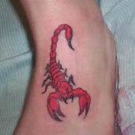 Фото рисунка скорпион 24.11.2018 №025 - photo tattoo scorpion - tattoo-photo.ru