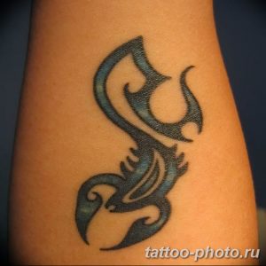 Фото рисунка скорпион 24.11.2018 №026 - photo tattoo scorpion - tattoo-photo.ru