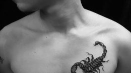 Фото рисунка скорпион 24.11.2018 №027 - photo tattoo scorpion - tattoo-photo.ru