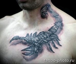 Фото рисунка скорпион 24.11.2018 №029 - photo tattoo scorpion - tattoo-photo.ru
