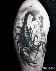 Фото рисунка скорпион 24.11.2018 №030 - photo tattoo scorpion - tattoo-photo.ru