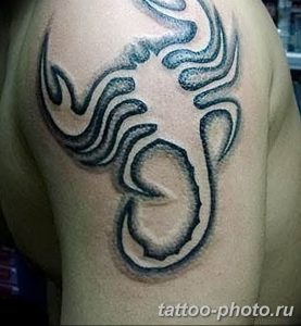 Фото рисунка скорпион 24.11.2018 №032 - photo tattoo scorpion - tattoo-photo.ru