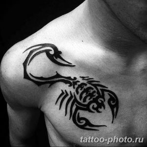 Фото рисунка скорпион 24.11.2018 №033 - photo tattoo scorpion - tattoo-photo.ru