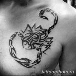 Фото рисунка скорпион 24.11.2018 №034 - photo tattoo scorpion - tattoo-photo.ru