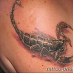 Фото рисунка скорпион 24.11.2018 №035 - photo tattoo scorpion - tattoo-photo.ru