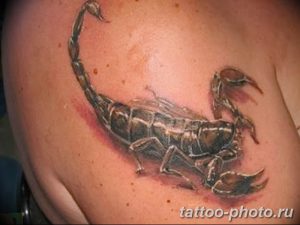 Фото рисунка скорпион 24.11.2018 №035 - photo tattoo scorpion - tattoo-photo.ru