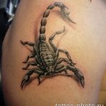 Фото рисунка скорпион 24.11.2018 №037 - photo tattoo scorpion - tattoo-photo.ru