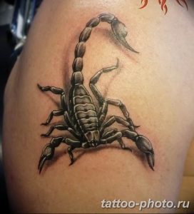 Фото рисунка скорпион 24.11.2018 №037 - photo tattoo scorpion - tattoo-photo.ru