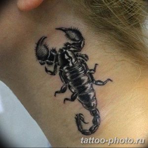 Фото рисунка скорпион 24.11.2018 №038 - photo tattoo scorpion - tattoo-photo.ru