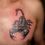 Фото рисунка скорпион 24.11.2018 №039 - photo tattoo scorpion - tattoo-photo.ru