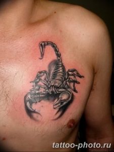Фото рисунка скорпион 24.11.2018 №039 - photo tattoo scorpion - tattoo-photo.ru
