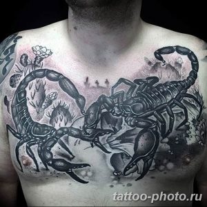 Фото рисунка скорпион 24.11.2018 №041 - photo tattoo scorpion - tattoo-photo.ru