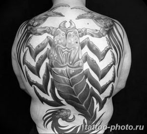 Фото рисунка скорпион 24.11.2018 №043 - photo tattoo scorpion - tattoo-photo.ru