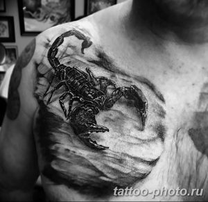 Фото рисунка скорпион 24.11.2018 №044 - photo tattoo scorpion - tattoo-photo.ru