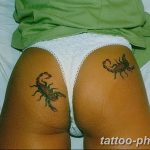 Фото рисунка скорпион 24.11.2018 №045 - photo tattoo scorpion - tattoo-photo.ru