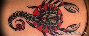 Фото рисунка скорпион 24.11.2018 №046 - photo tattoo scorpion - tattoo-photo.ru