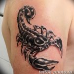 Фото рисунка скорпион 24.11.2018 №047 - photo tattoo scorpion - tattoo-photo.ru