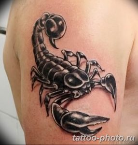 Фото рисунка скорпион 24.11.2018 №047 - photo tattoo scorpion - tattoo-photo.ru